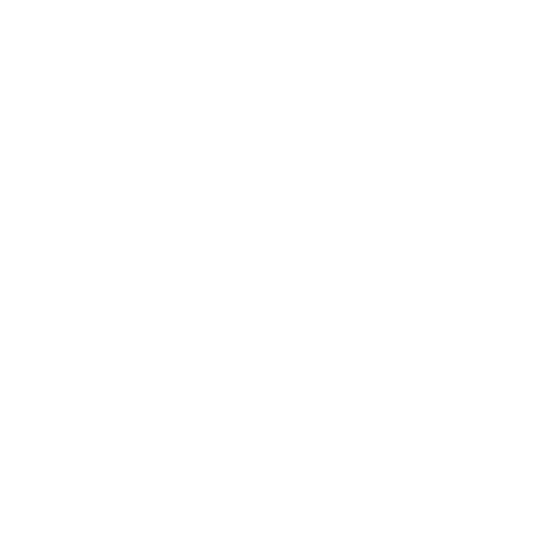 Minds Icon